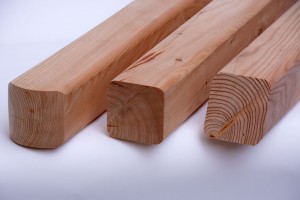 zaunsäulen